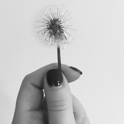 نوع شرکت ها مسئولیت