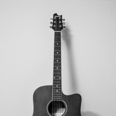  شرکت های مدنی بدون اراده و اختیار