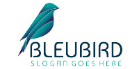 BleuBird